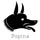 Popina hiring FOH in New York, NY