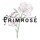 Primrose hiring Bartender in Washington, DC