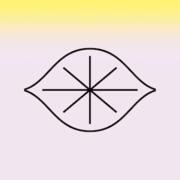 Electric Lemon hiring Front-of-House Open Call - Thursday 4/23 in New York, NY