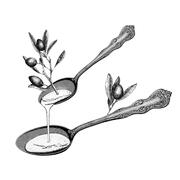 Apolonia hiring Sous Chef in Chicago, IL