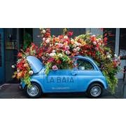 Osteria La Baia hiring Food Runner in New York, NY