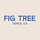 Fig Tree hiring Runner in Los Angeles, CA