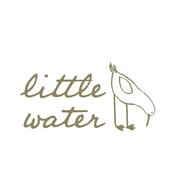 Little Water hiring General Manager in Philadelphia, PA