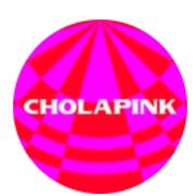 Cholapink hiring Front of House Staff in New York, NY