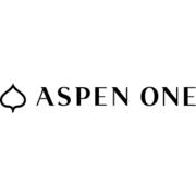 Aspen One